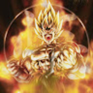 Meet your Posher, Frankie